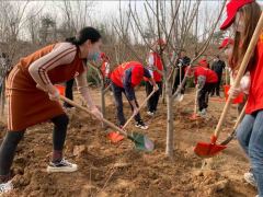 校外义务植树活动