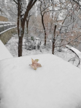 暴雪天气温馨提示