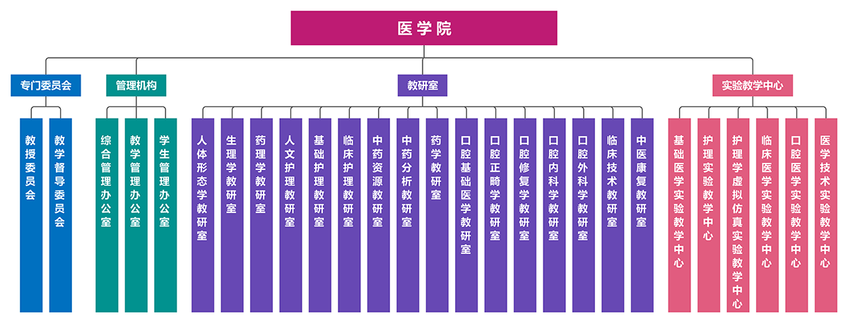 医学院组织结构图.png